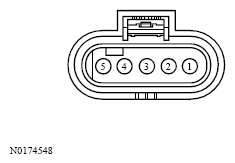 G13533778