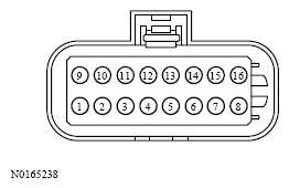G13533786