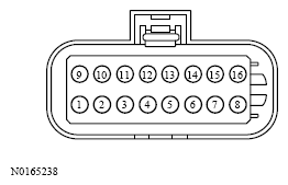 G13533794