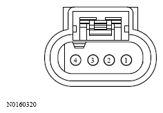 G13533795