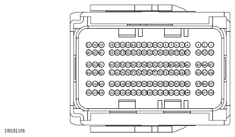 G13533808