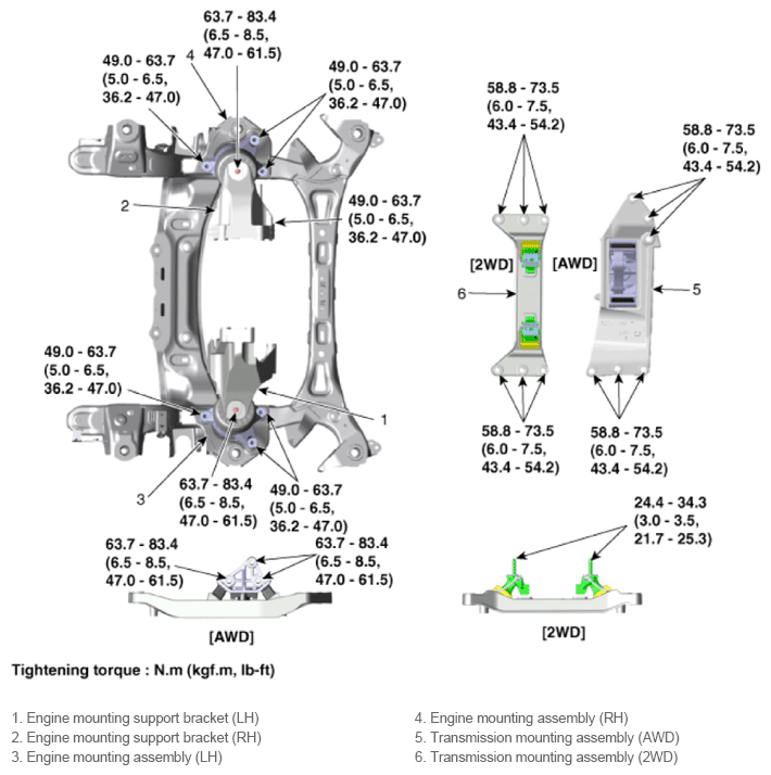 G13538650