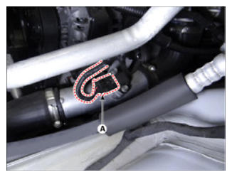 G13538671