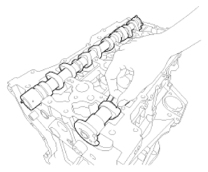 G13538776