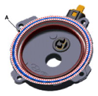 G13538790