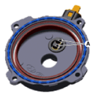 G13538792
