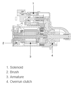 G13539145
