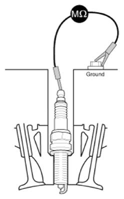 G13539186