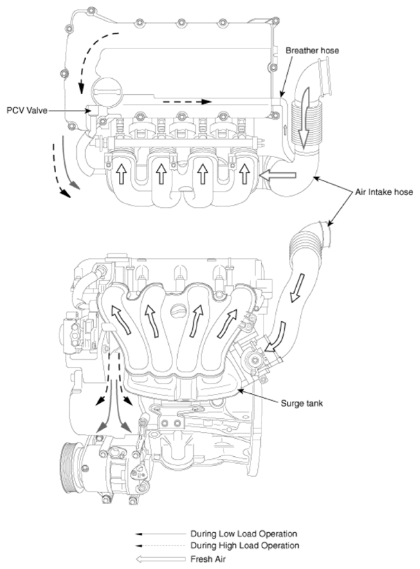 G13539244