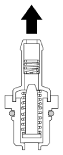G13539246