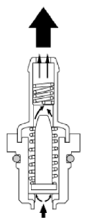 G13539248