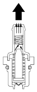G13539249