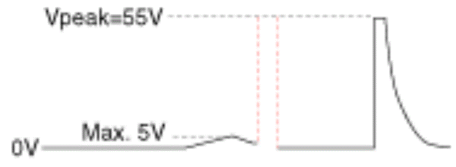 G13539326