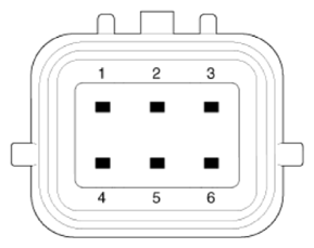 G13539541