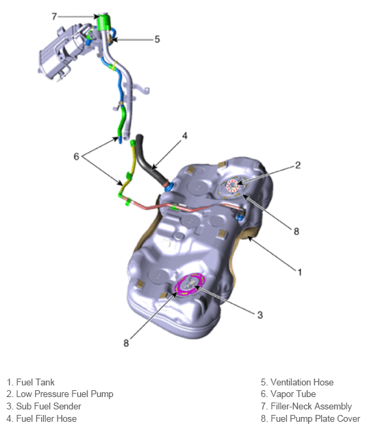 G13539558