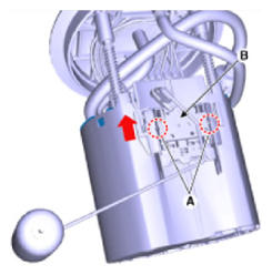 G13539581