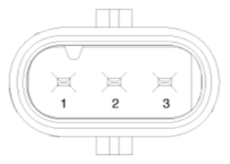 G13539594