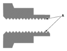 G13540244