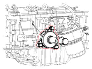 G13540259