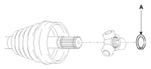 G13540269