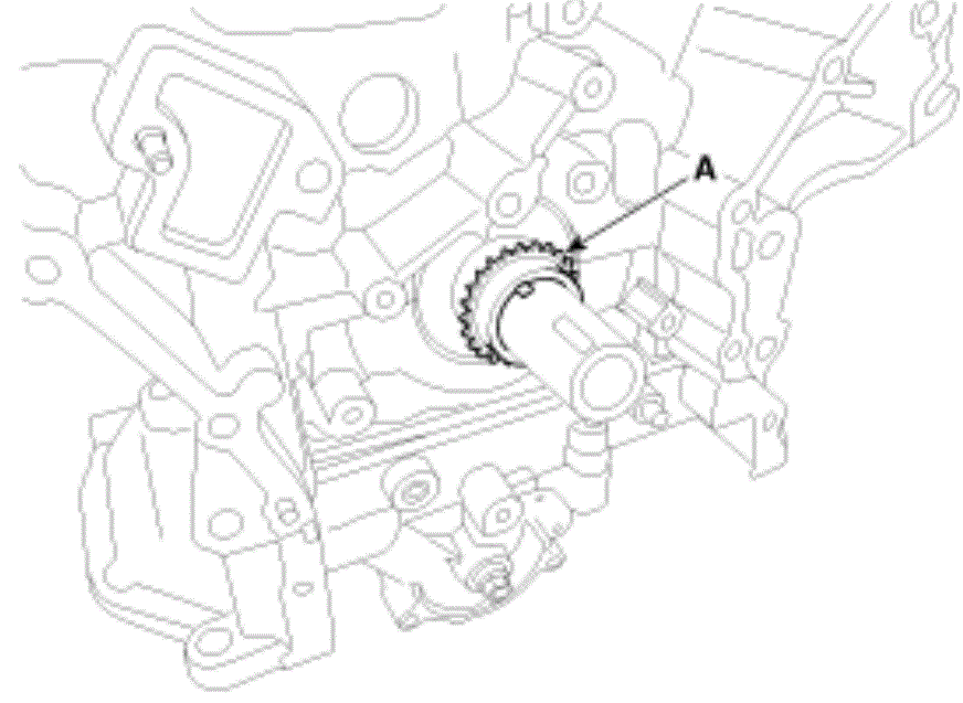 G13546907
