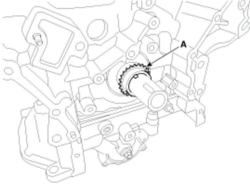G13546911