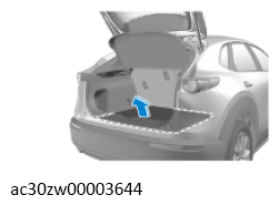 G13556001