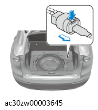 G13556002