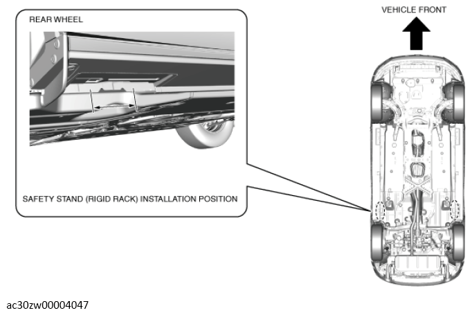 G13556033