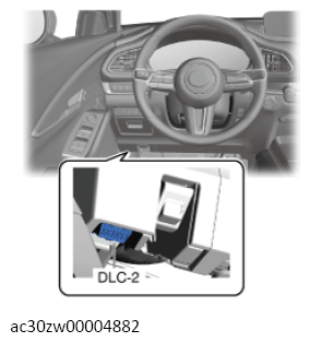 G13556060