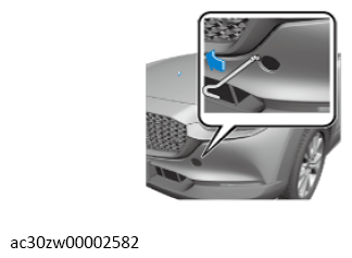 G13556084