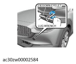 G13556086