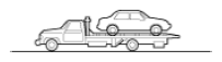 G13556089