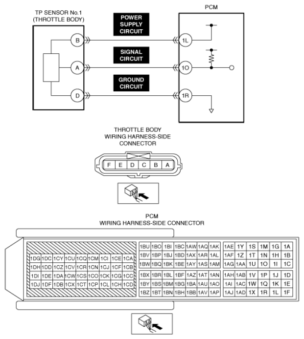 G13556121