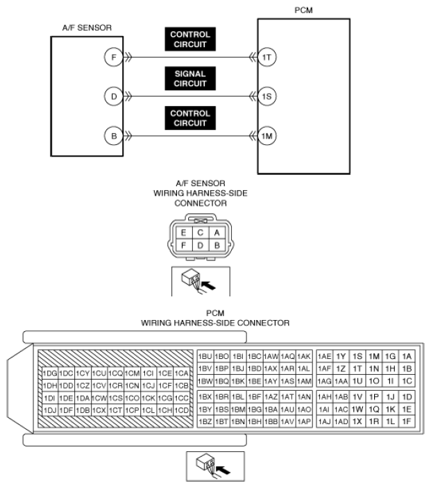 G13556124