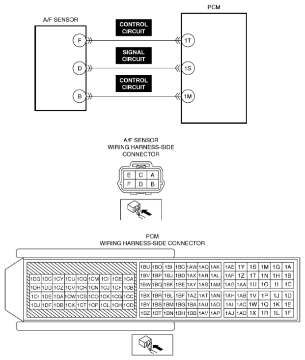 G13556125