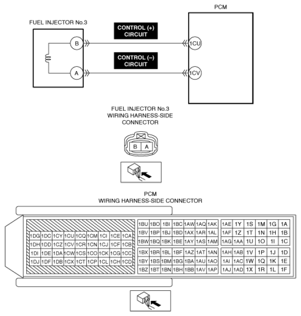 G13556146
