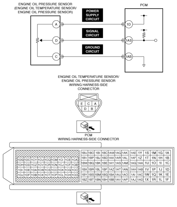 G13556186