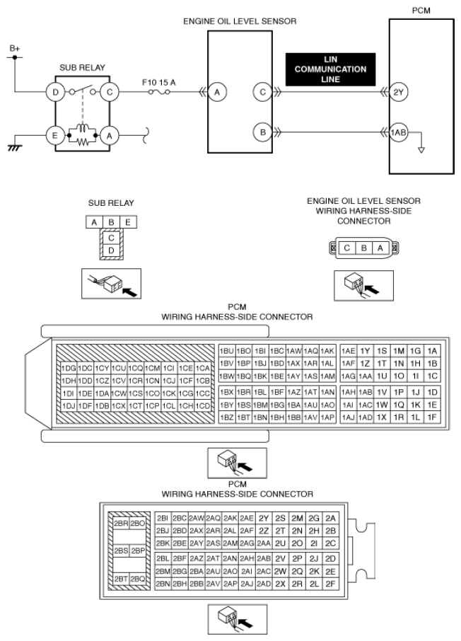 G13556244
