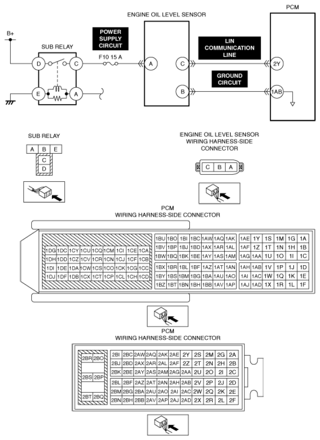G13556245