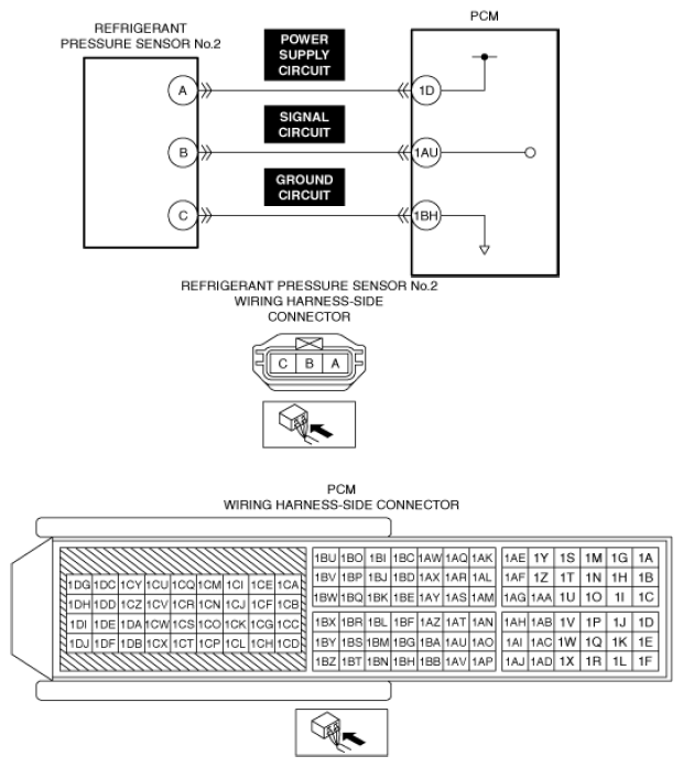 G13556247