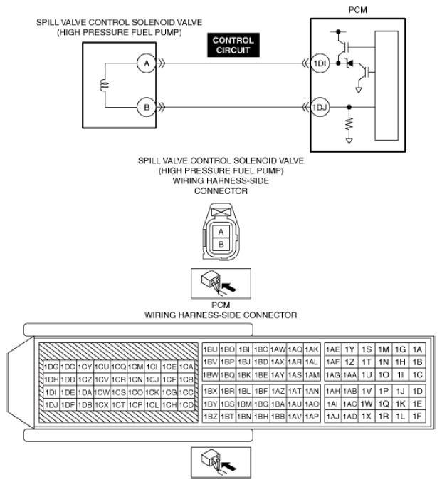 G13556315