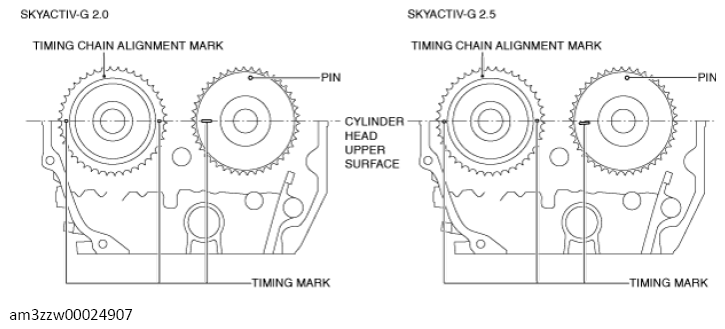 G13556344