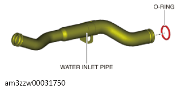 G13556348