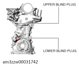 G13556408