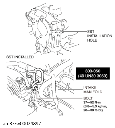 G13556418