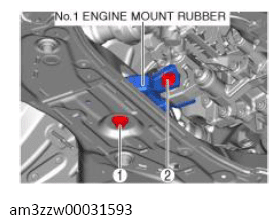 G13556443