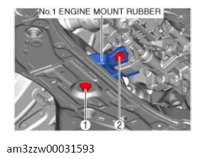 G13556444