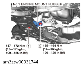 G13556479