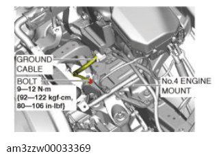 G13556481